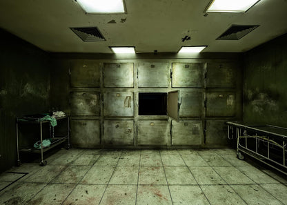 BELECO Old Abandoned Hospital Backdrop Fabric 9x6ft Gloomy Hospital Morgue Interior Tattered Lockers Bloodstains Sickbed Background Horrible Halloween Party Decorations Portraits Photo Studio Props