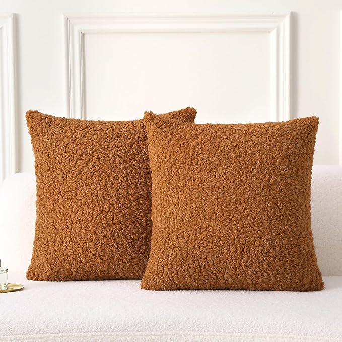 FUTEI Rust Throw Pillow Covers 22x22 Inch Set of 2, Furry Faux Fur Teddy Boucle by FUTEI
