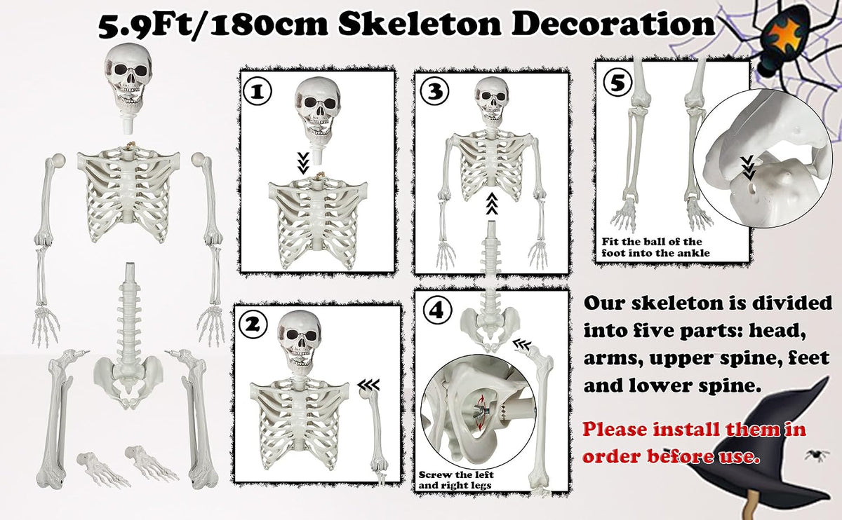 5.9ft/180cm Posable Halloween Skeleton, Life Size Skeleton Bones with Movable Joints for Halloween Graveyard Haunted House Spooky Scene Decor, 1pc