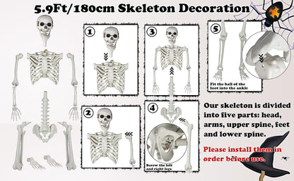 5.9ft/180cm Posable Halloween Skeleton, Life Size Skeleton Bones with Movable Joints for Halloween Graveyard Haunted House Spooky Scene Decor, 1pc