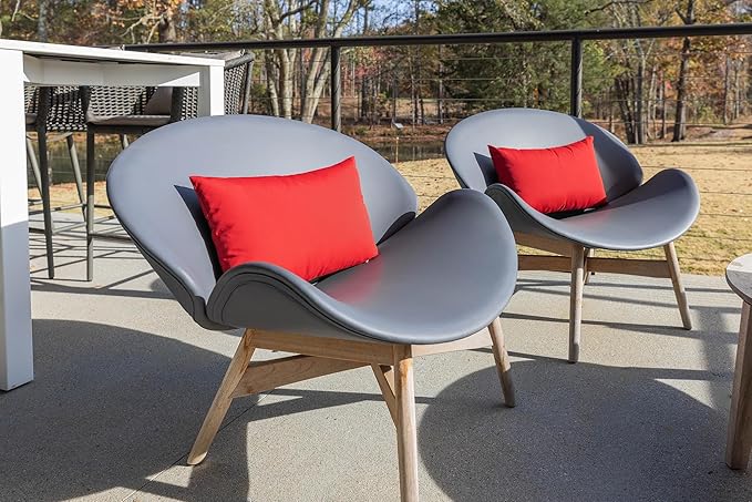 RSH DECOR: Lumbar Throw Pillows Set of 2 | 20” x 12" | All-Weather Spun Fabric - Image 2