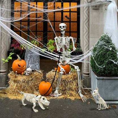 5.4Ft Posable Halloween Skeleton with Dog Cat Skeleton for Halloween Decor