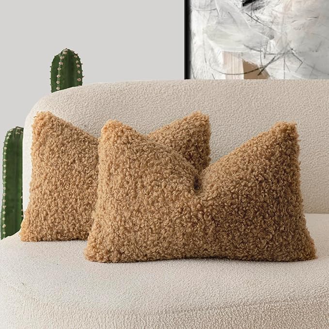 Foindtower Set of 2 Curly Teddy Wool Pillow Covers Decorative Boucle Textured by Foindtower