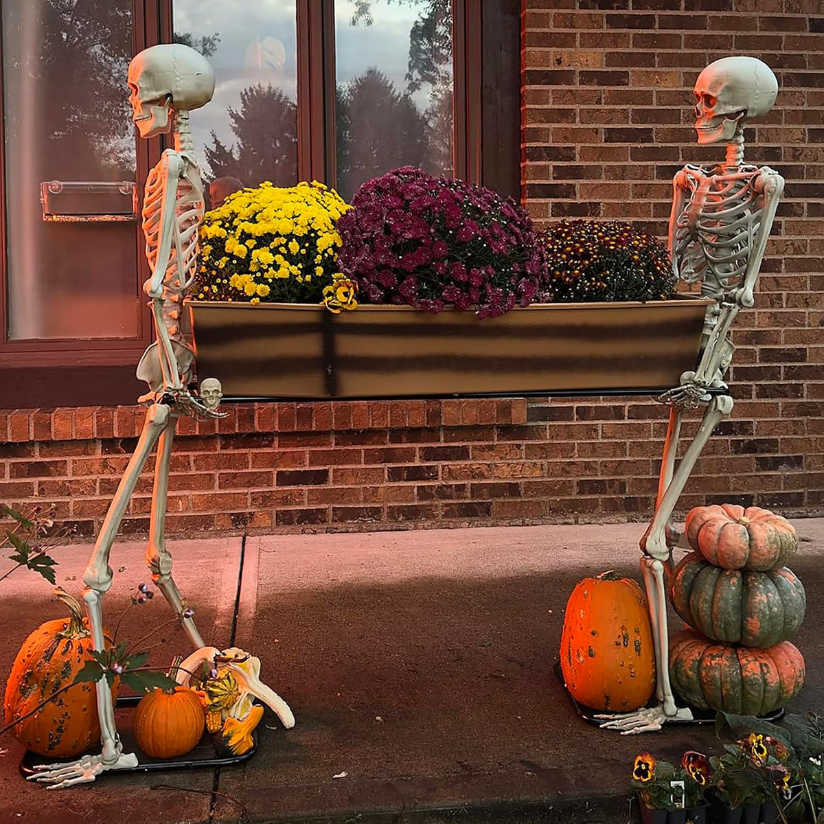 Quntis Halloween Skeleton Outdoor Decorations - 5ft Posable Skeletons Carrying Coffin - Life Size Undead Pallbearers Drink Cooler - Spooky Graveyard Haunted Houses Halloween Party Display Prop