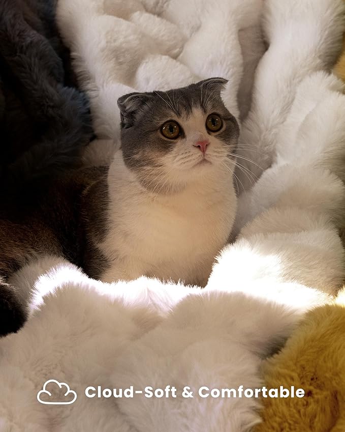 Ultra Soft Cozy Faux Fur Throw Blanket, Fuzzy Plush Thick Bubble Blanket - Image 3