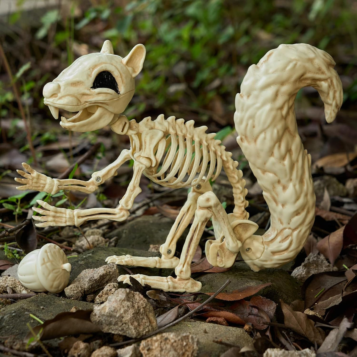 JOYIN Squirrel Skeleton Halloween Decoration 9.1 Inch Animal Posable Skeletons Movable Joints Plastic Bones with Pine Cones for Halloween Haunted House Decor Spooky Scene Garden Patio Party Prop
