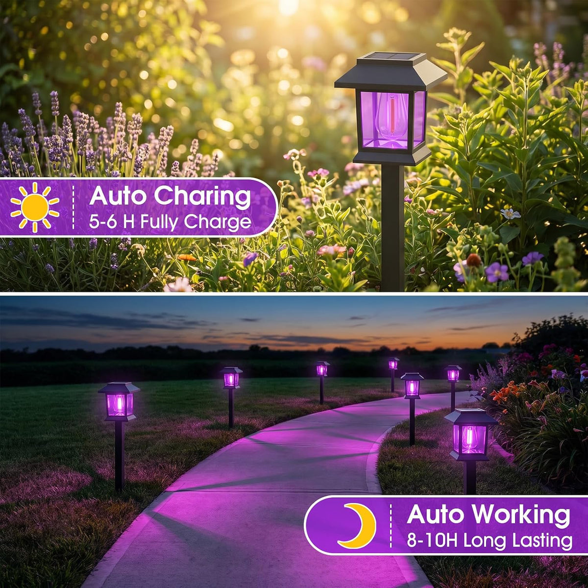Greluna Solar Lights Outdoor,12 Pack Purple Waterproof Auto On/Off Solar Pathway Lights for Your Garden, Landscape, Path, Yard, Patio, Driveway,Walkway Halloween Decor