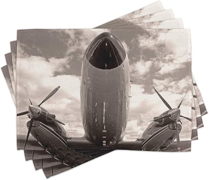 Ambesonne Vintage Airplane Place Mats Set of 4, Turboprop Airplane Nose Close by Ambesonne