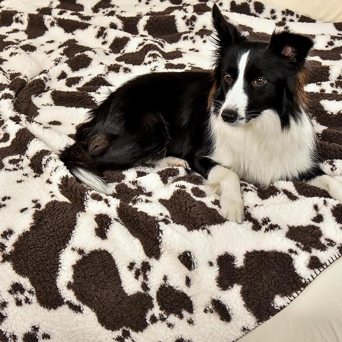 PHF Cute Cow Print Sherpa Throw Blanket - Image 2