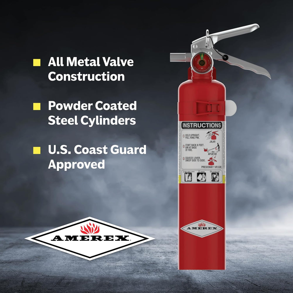 Amerex B417, 2.5 lb. ABC Dry Chemical Class A B C Fire Extinguisher with Wall...