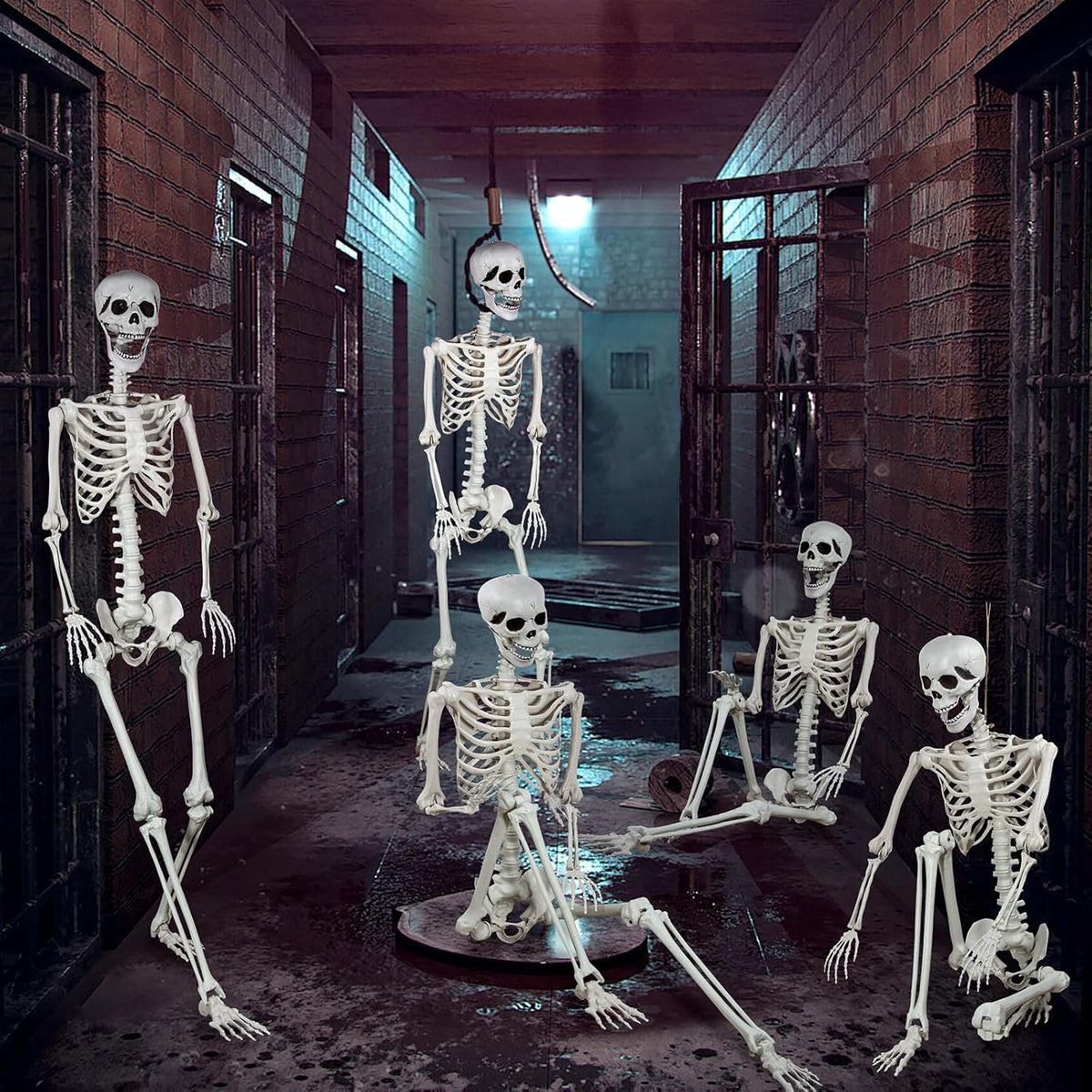 5.9ft Halloween Life Size Skeleton Realistic Full Body Skeletons Plastic Human Bones with Movable Joints for Halloween Props Spooky Party Decoration