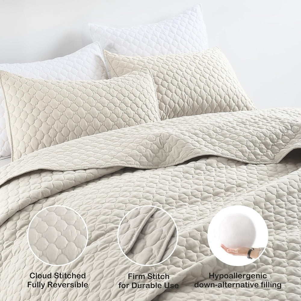 HORIMOTE HOME Quilt Set Queen Size Beige Bedspread, Modern Style Quilted Clou...