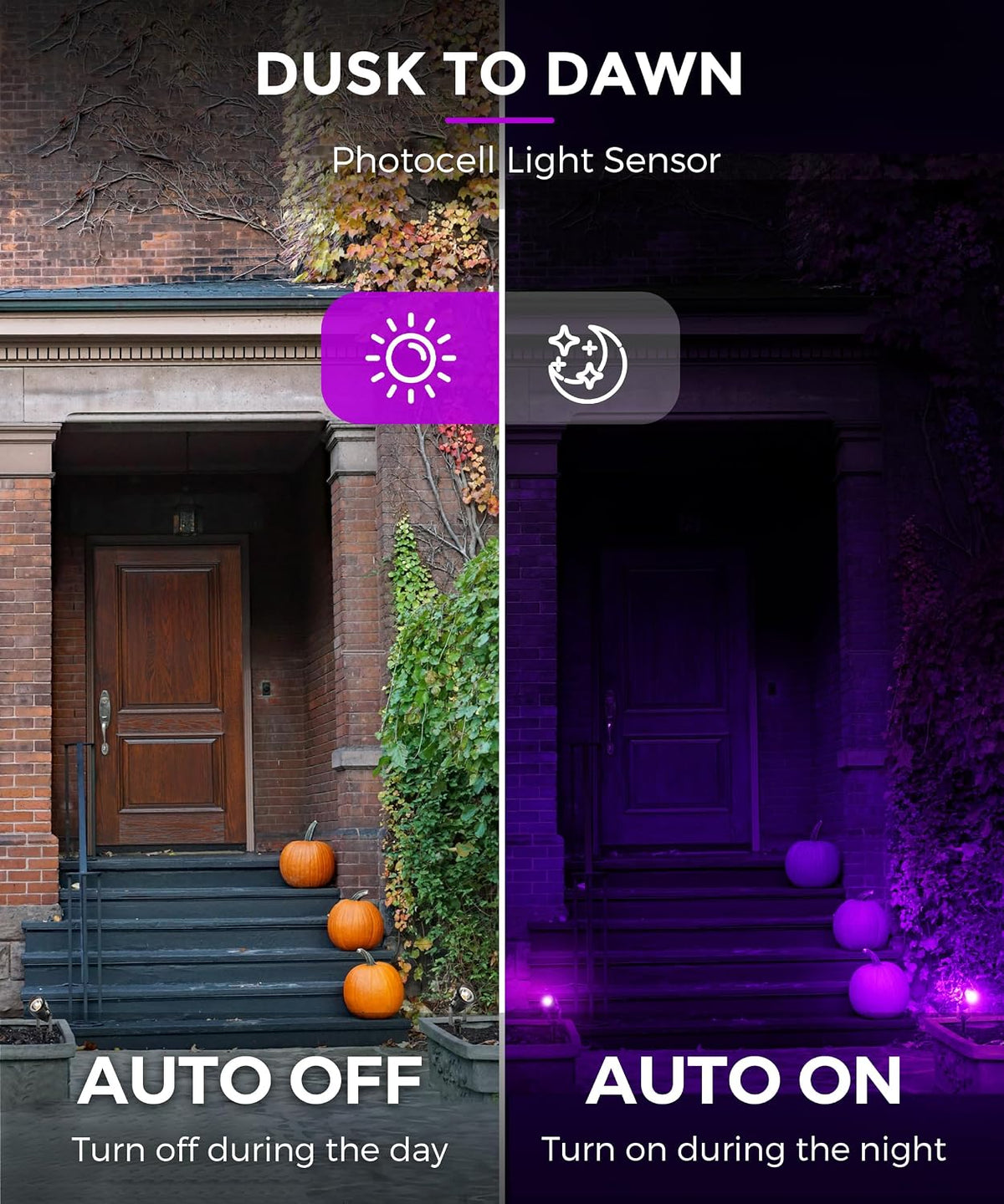 L LOHAS LED Halloween Lights Outdoor, Orange and Purple Spotlight 5W