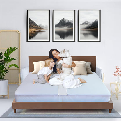2-in-1 bed bridge twin/twin xl to king with on a desk or shelf