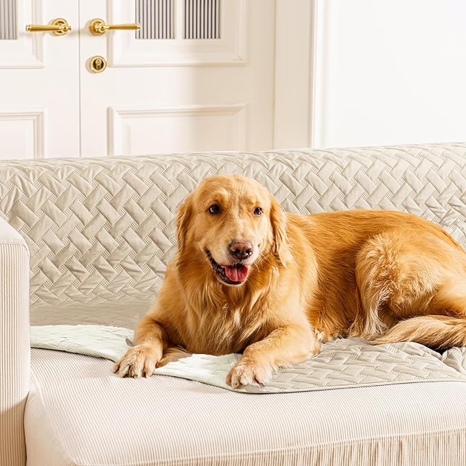 gogobunny 100% Double Sided Waterproof Dog Blanket Soft Pet Bed Cover by gogobunny