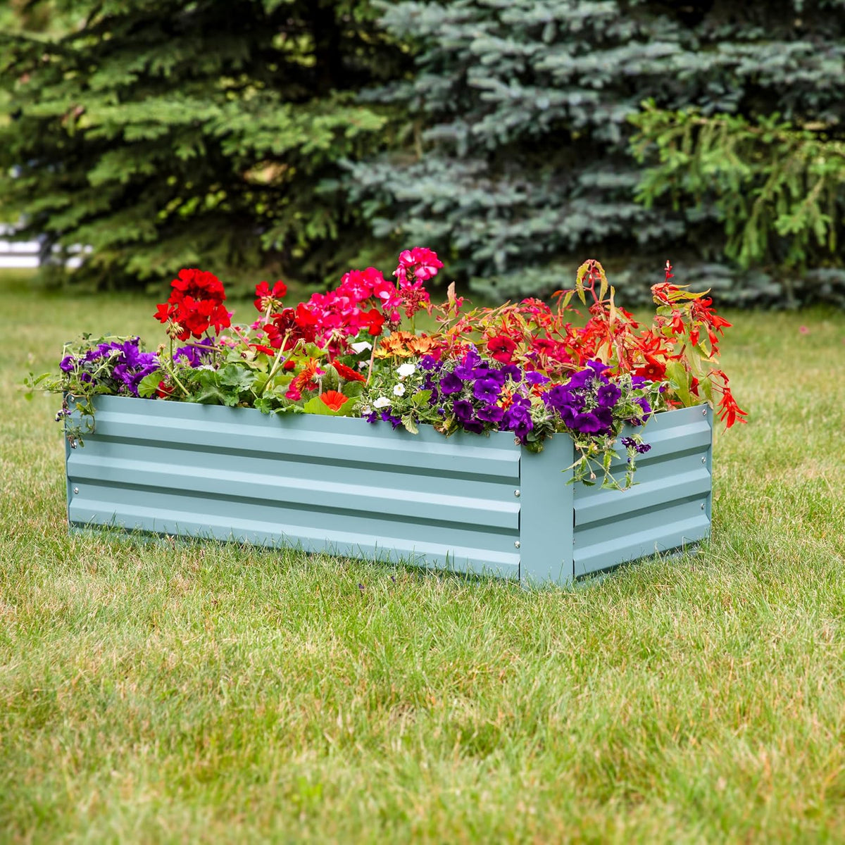 sunnydaze rectangle galvanized raised garden bed for vegetables, front angle view